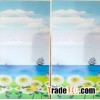 fast heating far infrared wall heater