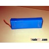 Polymer Lithium Battery (24v 36v 48v)