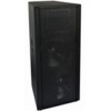 PA speaker TS-215