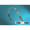 Nylon and Stainless Steel Cable Tie