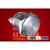 Metal Push Button Switch HBGQ19F-10/S