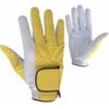 Golf Gloves