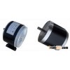 PMDC MOTOR(101ZYT)