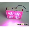 Point LED grow light