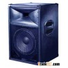 PA SPEAKER