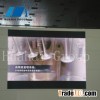 LED indoor P8 display