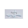 Pan Slotted Tapping Screw