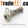 Titanium Pan Head Phil Screw