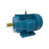 Y series motor