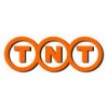 Hong Kong TNT