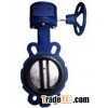 Cast Iron Gerbox Type Butterfly Valve