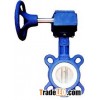 PTFE Worm Butterfly Valve