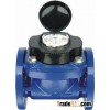 Woltman detachable water meter