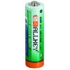 R6P Carbon Battery