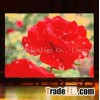 P6 LED Indoor display screen