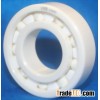 Ceramic Bearing