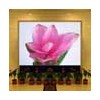 P7.62 Indoor Full Color LED Display