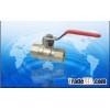 Brass Ball Valve ( HS-B1029 )