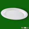 disposable middle oval paper plate