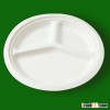 disposable 10 inch 3 compartment paper plate