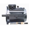 water cooled alternator
