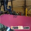 1000mm width Prepainted Galvanized Steel Coil for home