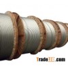 AAAC Conductor