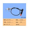 flame igniter