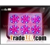 Apollo 6 led grow hdyro light