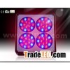 Apollo 4 grow plants lights