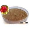 Pure schisandra extract powder with nice price