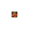 Tomato Lycopene.Tomato Extract Lycopene.Natural Lycopene Pow