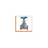 Class 150~1500 Lb Cast Steel Globe Valve