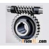 China Supplier of Worm Gear