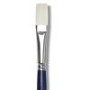 school brush
