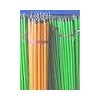 PVC Coated Wooden Broom Handle (LDP001)