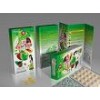 Cute Slim_Tasty fruits weight loss softgels