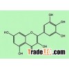 Kingherbs offer China Myricetin