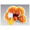 Kingherbs offer China Reishi Spore Oil & softgel