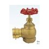 Brass Hydrant
