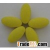 food supplement