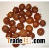 Soapnut
