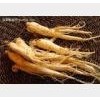 American Ginseng Extract