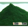 Spirulina Powder