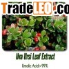 Uva Ursi Leaf Extract
