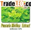 Pueraria Mirifica Extract