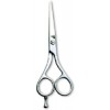 Salon Shear