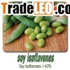 Soy Isoflavones