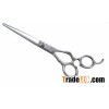 hair scissors / barber / cutting scissors