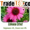 Echinacea Extract